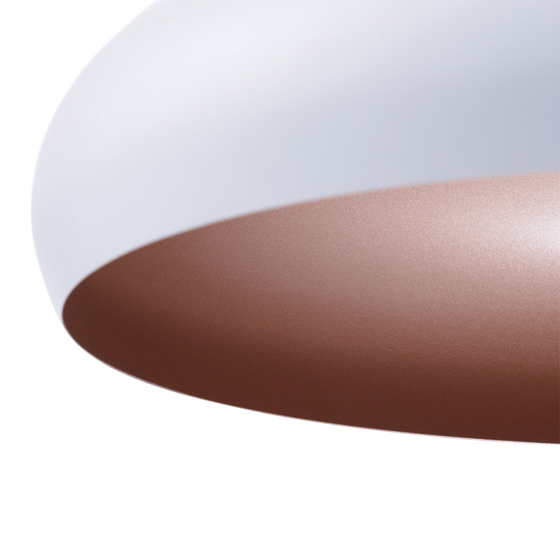 Raina 1 - Light Dome Pendant