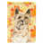 Brown Cairn Terrier