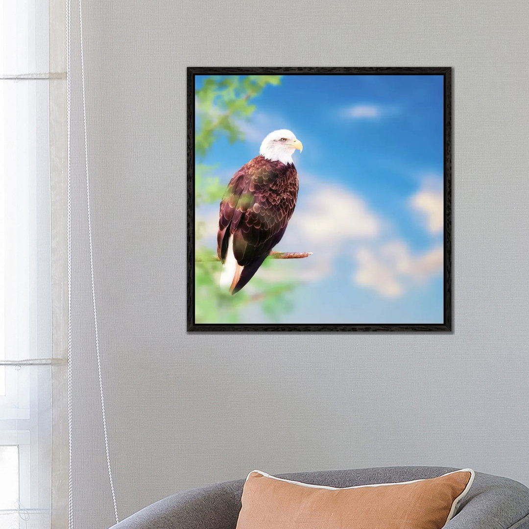 Amerikanischer Weißkopfseeadler auf einem Baum von Susan Richey - Galerie-verpackte Leinwand Giclée