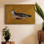 Toile tendue I-Gallery Feathered Friend-26858542