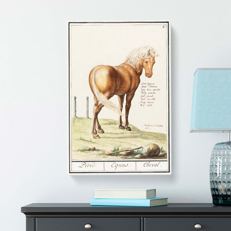 Horse by A.B. De Boodt - Wrapped Canvas, 50cm H x 35cm W x 3cm D