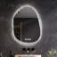 Darita Glass Novelty Mirror-1749938910