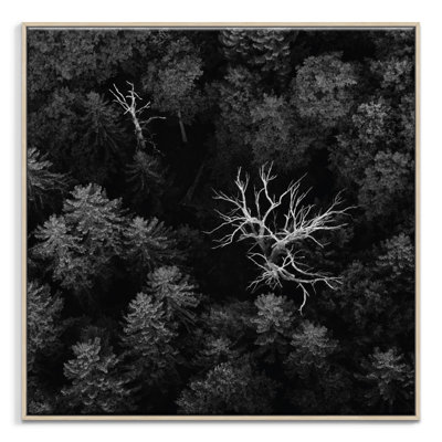 Print on Canvas