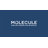 MOLECULE CopperWELL 13" Hybrid Cooling Gel Memory Foam and Encased Coil Medium Firm Mattress-75959329