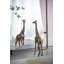 Miroir coquelicot 28 po x 60 po, décoration murale