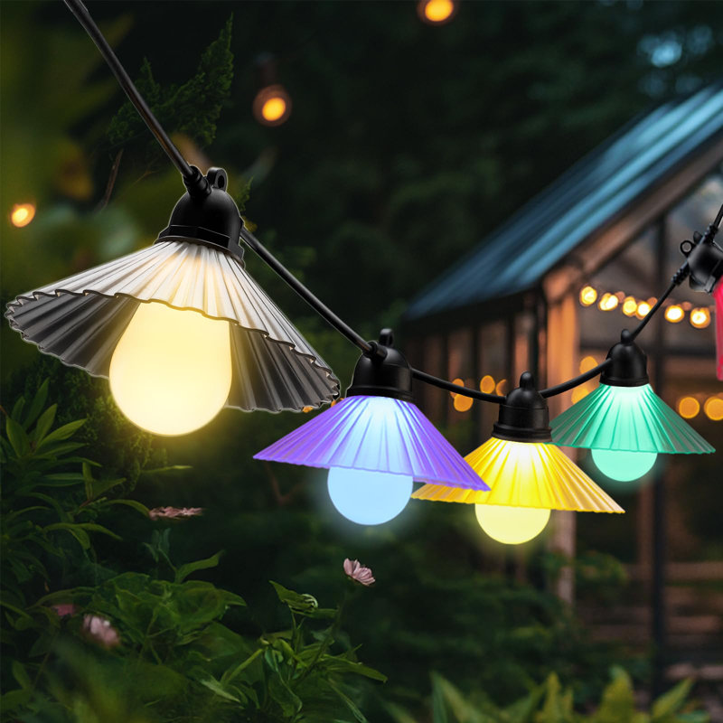 Raegen Outdoor 10 - Bulb 192'' Plug-in String Light, Multicolor
