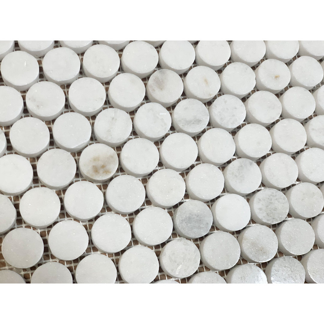 1" x 1" Marble Penney Round Mosaic Wall & Floor Tile Bloom Stone 