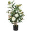 90cm Plant
