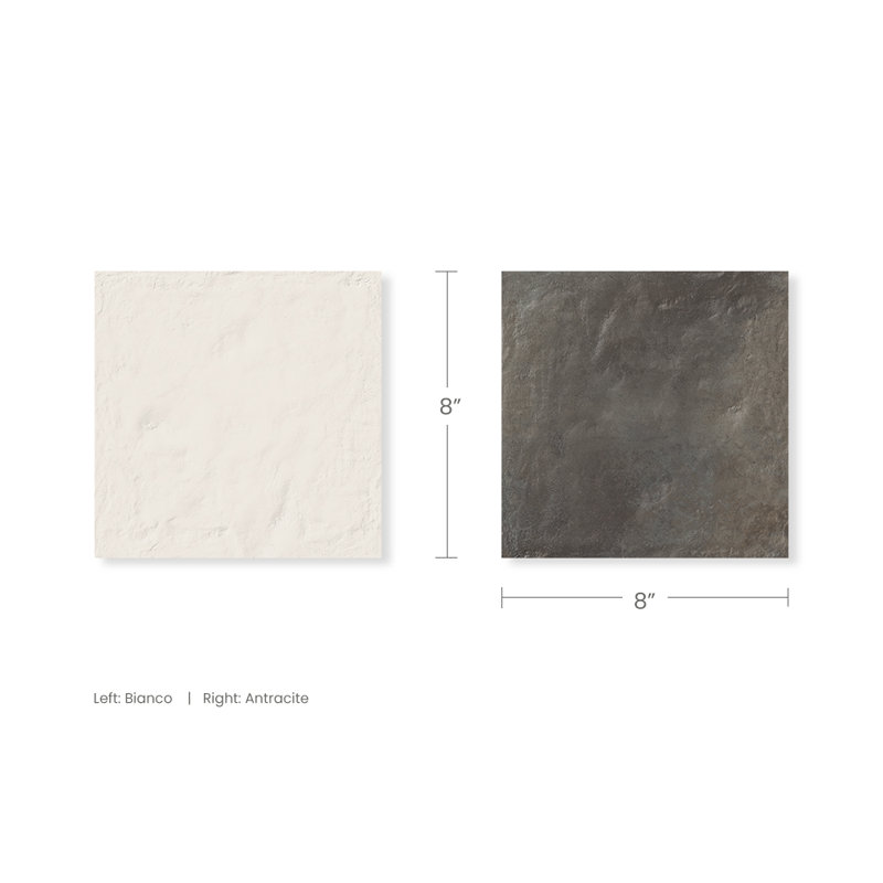Carrelage en porcelaine 8x8 Autumn Essentials, Gris / Blanc