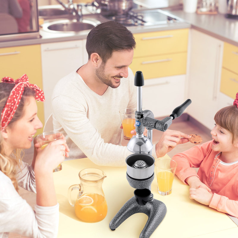 Pro MJP-100 Professional Manual Slow Masticating & Cold Press Juicer, Black