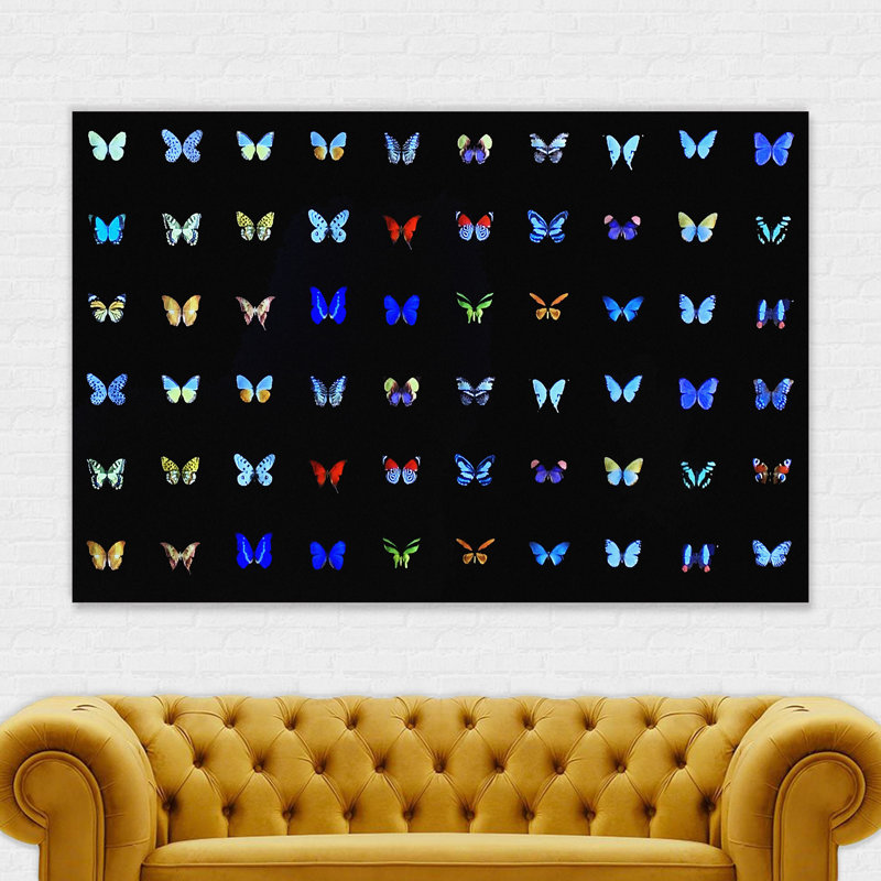 Butterfly Collage Multicolour - Wrapped Canvas Print, 61cm H x 81cm W x 4cm D