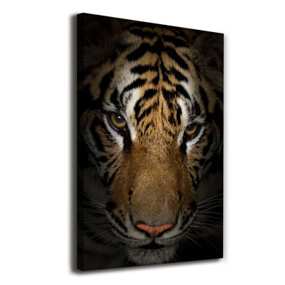 Tiger - Wrapped Canvas Print