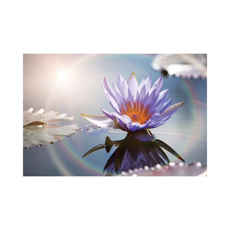 Lotus Flower With Sun Flare by Susan Schmitz - Wrapped Canvas Gallery-Wrapped Canvas Giclée, 20.32 cm H x 30.48 cm W