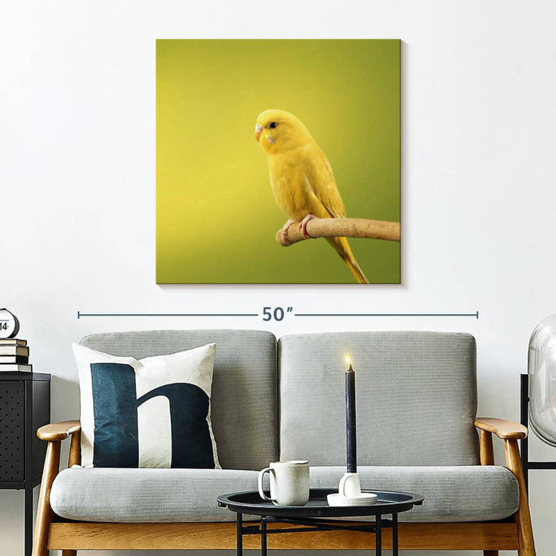Brampt Perched Yellow Parakeet, 30" H x 30" W