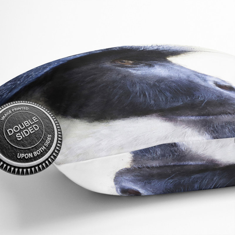 Colobus Monkey Scatter Cushion, 55cm H x 55cm W x 20cm D
