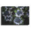 Hydrangeas Ouverture par Debra Van Swearingen-776009361