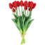 Tulip Arrangement