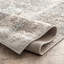 Tapis oriental argenté Andrus-1635609465