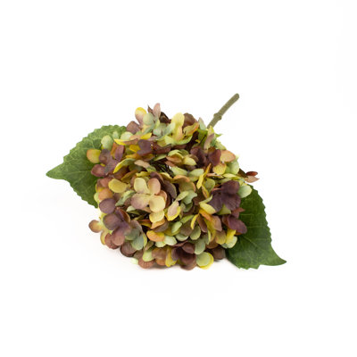 Hydrangea Arrangement