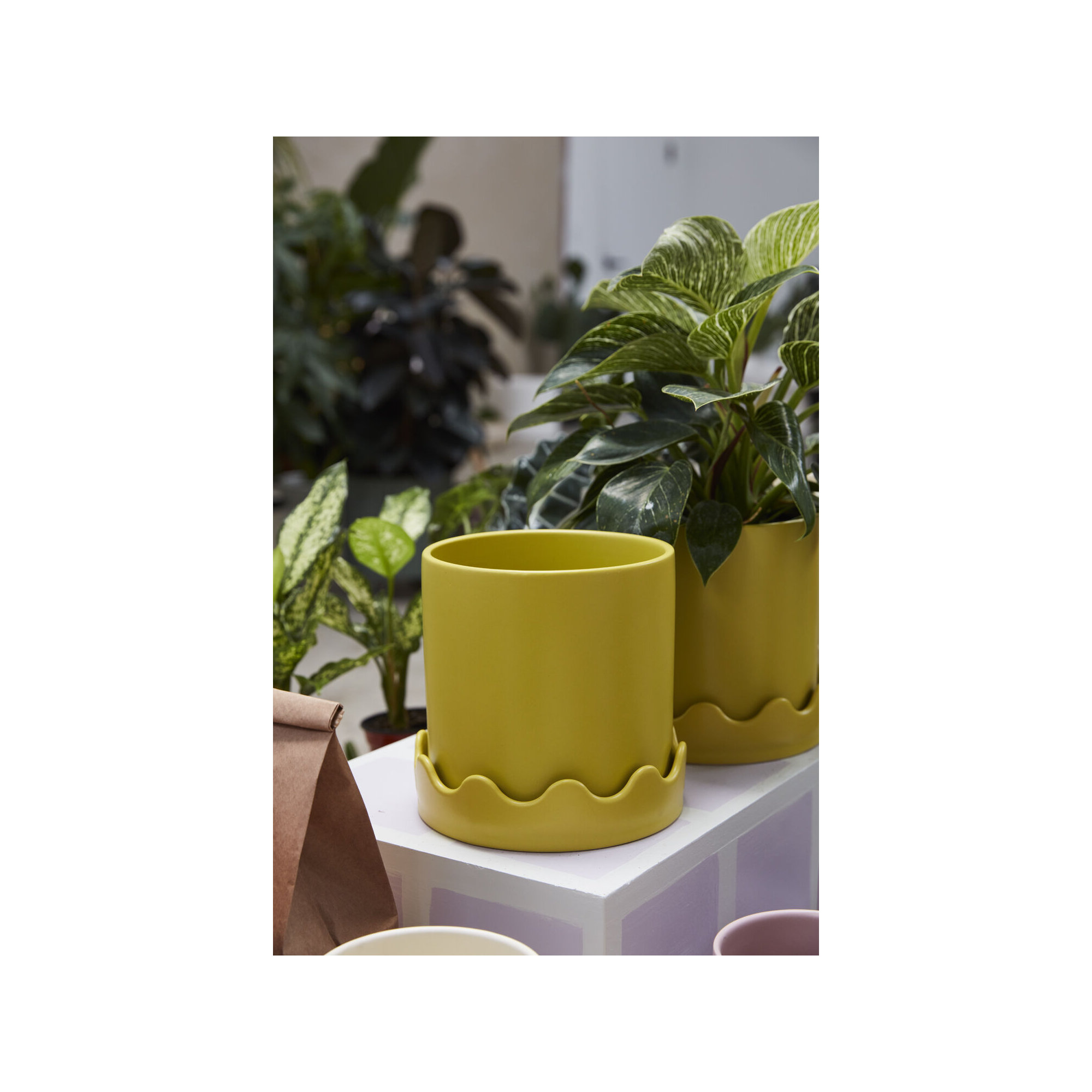 Winterview Pot with Saucer 7.5"x 7.25", Yellow, 7.25" H x 7.5" W x 7.5" D