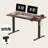 Adjustable Standing Desk, Whole-Piece Desktop-1701964203-1704026239