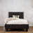 Morgana Vegan Leather Platform Bed-178124149-178124150