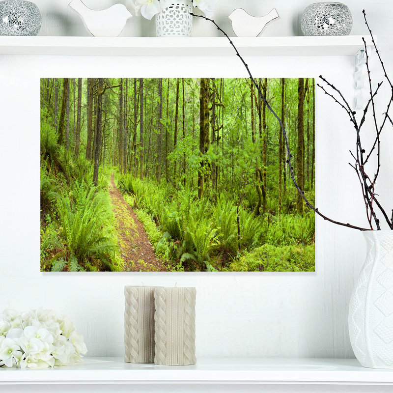 «Lush Forest Path Columbia River», reproduction de photo sur toile tendue, H 20 po x l 20 po x P 1 po, Toile tendue