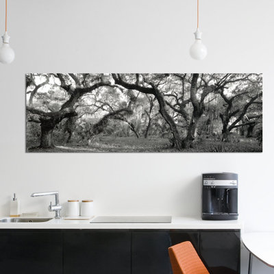 «Oak Trees in a Forest, Lake Kissimmee State Park, Florida, USA», reproduction de photo sur toile