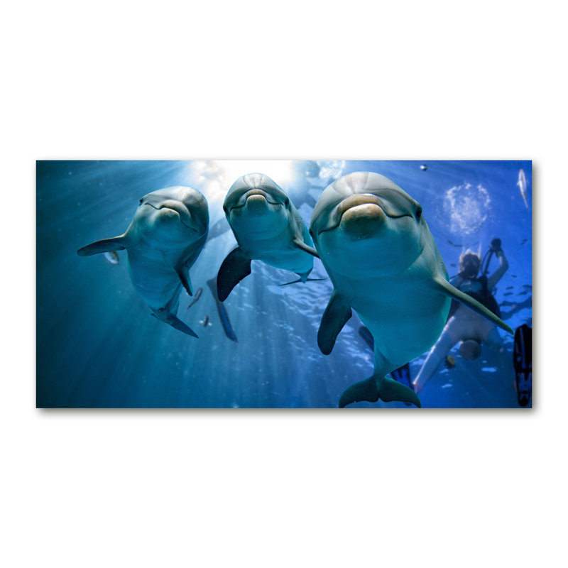 Three Dolphins - Wrapped Canvas Print