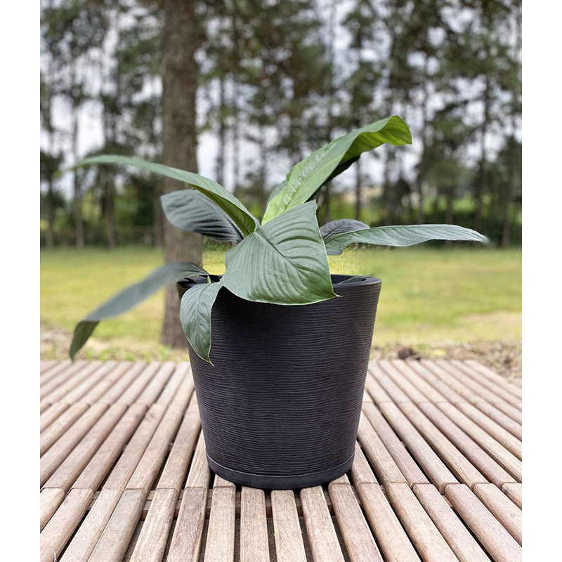 Pot à fleurs en résine Genebra, Noir, H 13,78 po x l 15,75 po x P 15,75 po
