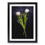 Two White Tulips - Picture Frame Painting Print-56738943-56738948