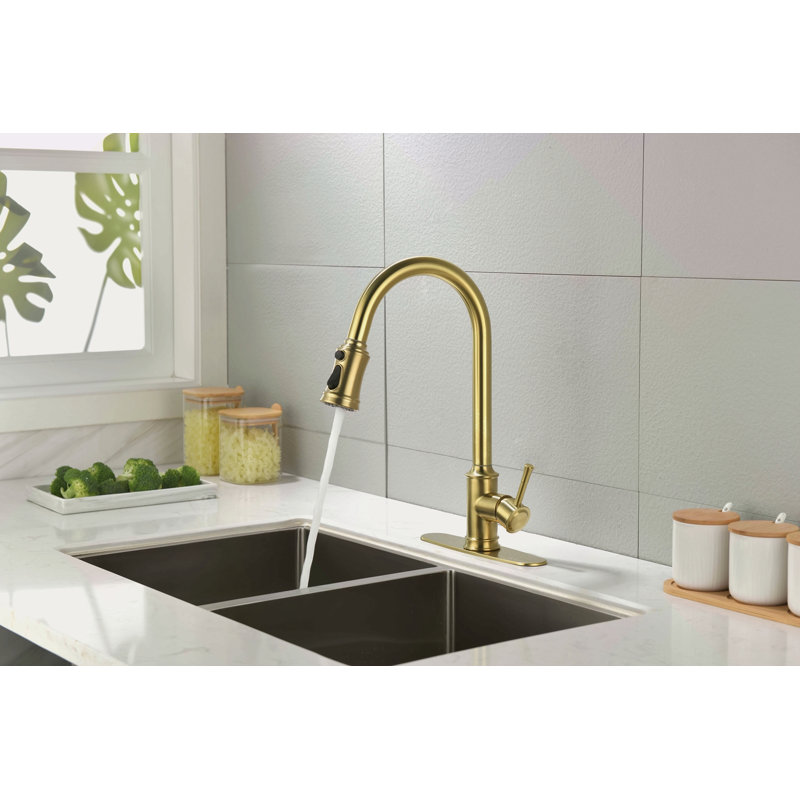 Single Handle High Arc Pull Out Kitchen Faucet,Single Level Stainless Steel Kitchen Sink Faucets With Pull Down Sprayer
