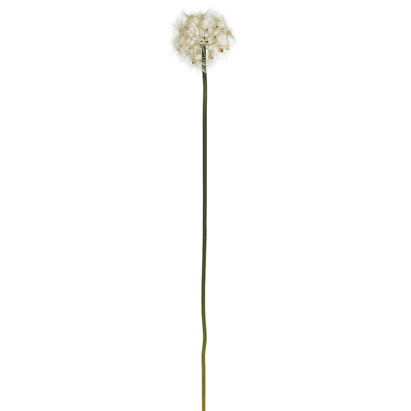 Dandelion Arrangement