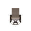 Belle Isle Outdoor Dining Chair-404339546-404339552