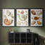 Collection de coquillages I - Toile tendue avec châssis sur mesure - 3 pièces-531698340-531698339