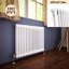 Zoie Horizontal Traditional Colosseum Radiator-165235309