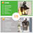 14" Outdoor Wall Lanterns 2-Pack, Black Waterproof Wall Sconce With Clear Glass Panels, Vintage Exterior Light Fixture For Porch, Patio, Garden, And Doorway (Bulb Not Included)