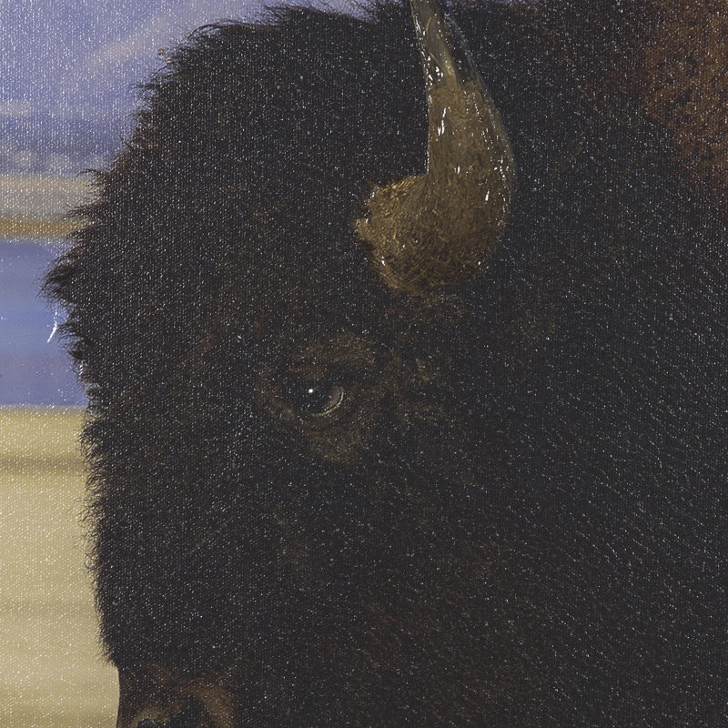 «Antelope Island» par Gary Blatter, reproduction d'art encadrée à la main