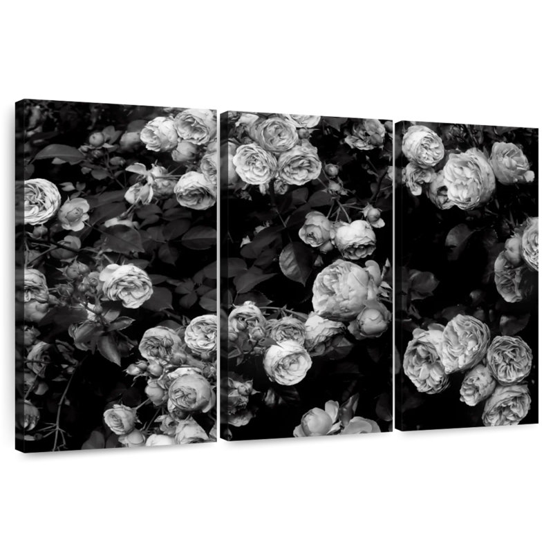 Harnek Roses BW, H 20 po x l 33 po