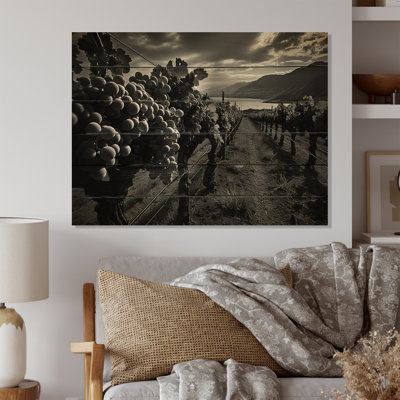 Boltuch Scenic Vineyard en monochrome sur bois