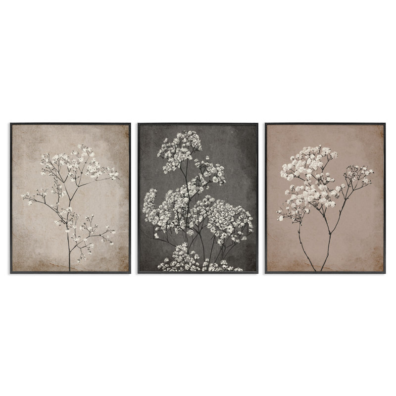 Ensemble de 3 reproductions d'art sur toile Stupell Industries Botanical Baby's Breath Herbs par Ros Ruseva