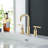 Widespread Bathroom Faucet with Drain Assembly-100863769