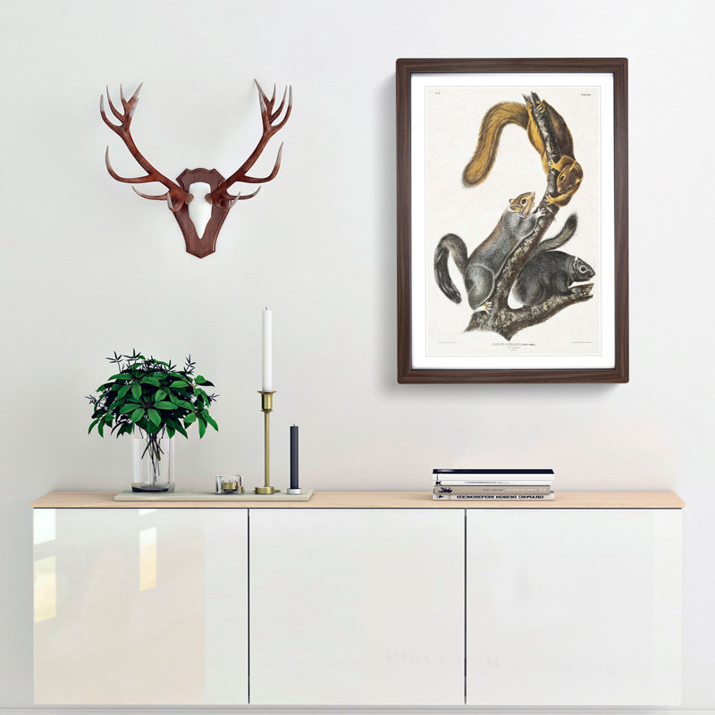 Cat Squirrels by J.W. Audubon - Picture Frame Graphic Art Print, 48cm H x 36cm W x 2cm D, Walnut Framed