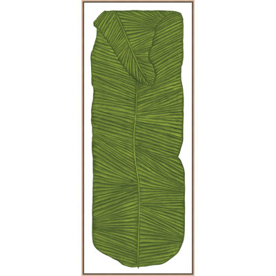Botanicus Fronde 1 Print