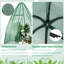Anstus 5.3 Ft W x 5.3 Ft D Greenhouse