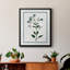 Toile encadrée de qualité supérieure Shabby Elegance Botanical II - prête à être accrochée-1226880469-1226880468