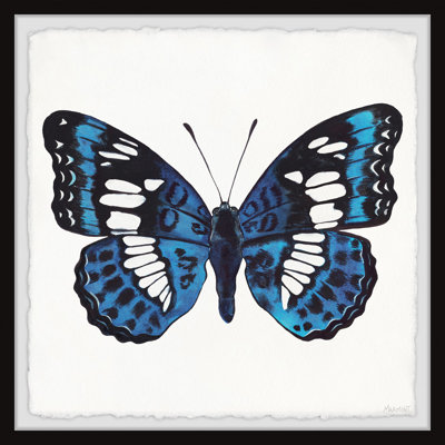 Dazzling Wings - Single Picture Frame Painting