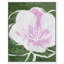 «Rose in Green Canvas Mute Plants Flowers», art abstrait par Art Remedy-104326380-104326383