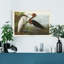 « Pl 256 Purple Heron », reproduction d’art sur toile tendue-805752724