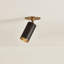 Caleb 1 Light Flush Mount